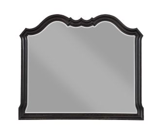 ACME Chelmsford Mirror, Black Antique Finish BD02298
