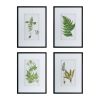 Set of 4 Botanical Black And White Fern Wall Art , Wall Decor for Living Room Dining Room Entryway, 20" x 28"