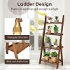Living Room 4-Tier Bamboo Ladder Display Shelf Storage Rack Plant Flower Stand
